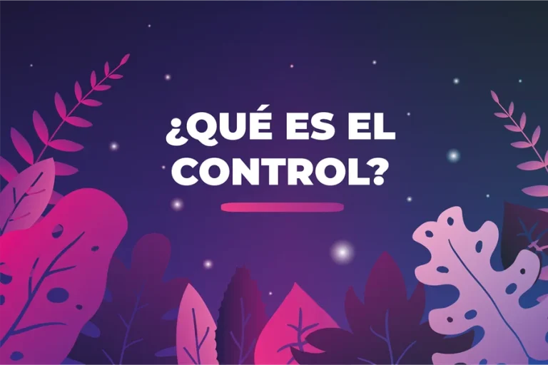 Definición de control según autores