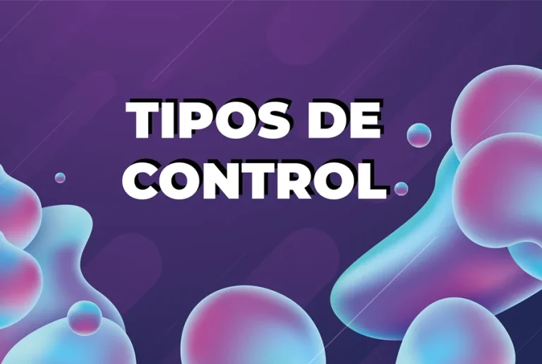 Tipos de control en una empresa